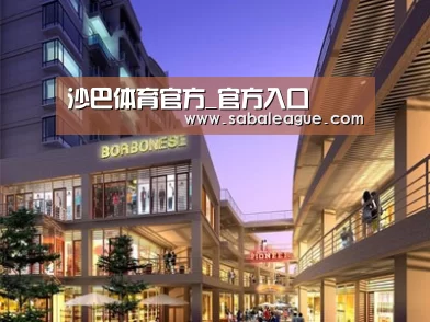 案例展示一